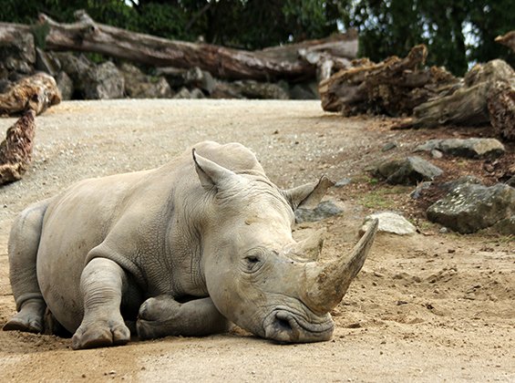 Flood Mitigation Project